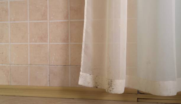 Best Water Damage & Mold Remediation  in Grabill, IN