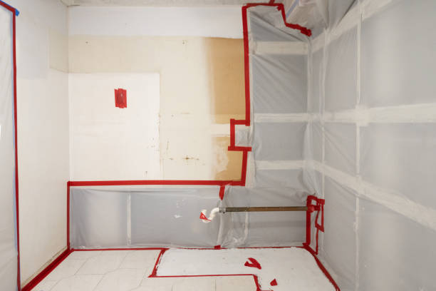 Best Air Quality Testing for Mold Spores  in Grabill, IN