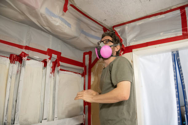 Best Mold Odor Removal Services  in Grabill, IN