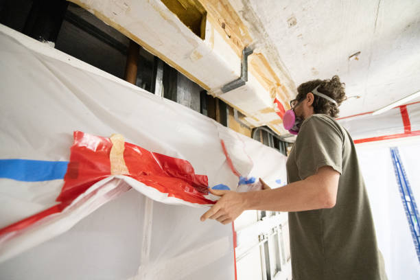  Grabill, IN Mold Removal Pros