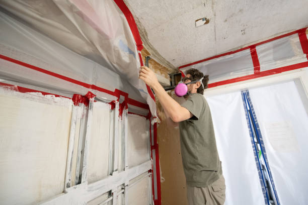 Best Mold Prevention Services  in Grabill, IN
