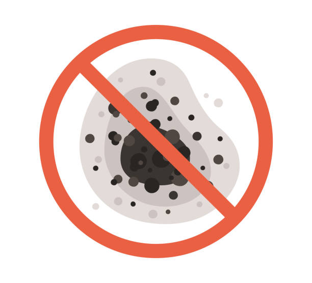 Best Airborne Mold Testing  in Grabill, IN