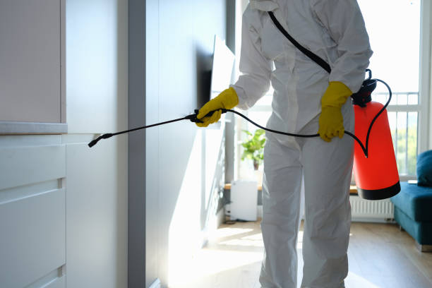 Best Post-Construction Mold Inspection  in Grabill, IN