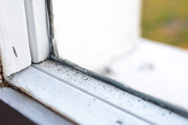 Mold Removal for HVAC Installations in Grabill, IN
