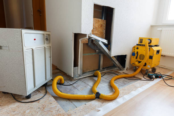 Reliable Grabill, IN Mold Removal Solutions